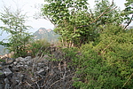 界岭口25号敌台
