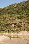 董家口关东南山险