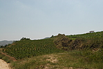 碓臼坪长城