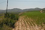 碓臼坪长城