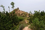 李家峁村2号敌台