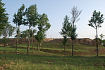 五台村3号关