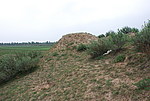 安子屋村3号马面