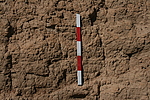 ͱ1ŷ̨