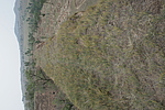 大堡