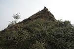 土坡1号烽火台