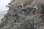 神堂沟南梁8段长城